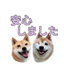 こたちよのスタンプの巻2（個別スタンプ：28）