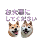 こたちよのスタンプの巻2（個別スタンプ：33）
