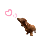 ppbrothersdayo（個別スタンプ：3）