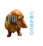 ppbrothersdayo（個別スタンプ：7）