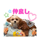 ppbrothersdayo（個別スタンプ：21）