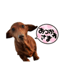 ppbrothersdayo（個別スタンプ：22）