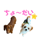 ppbrothersdayo（個別スタンプ：37）