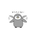 テイコウペンギンのジョン（個別スタンプ：13）