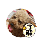 モナちゃん 2（個別スタンプ：16）