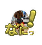 モナちゃん 2（個別スタンプ：25）