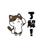 あまねこリッチ（個別スタンプ：1）