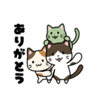 あまねこリッチ（個別スタンプ：13）