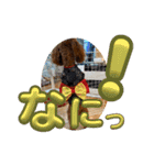 モナちゃん 2（個別スタンプ：12）