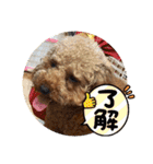 モナちゃん 2（個別スタンプ：32）