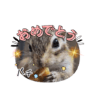 みんなと一緒 30（個別スタンプ：7）