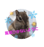 みんなと一緒 30（個別スタンプ：9）