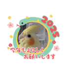 みんなと一緒 30（個別スタンプ：13）