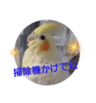 みんなと一緒 30（個別スタンプ：16）