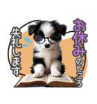 【敬語仕事】で使える‼ボーダーコリー1（個別スタンプ：37）