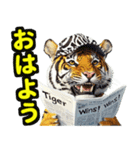 大阪神戸の野球好き虎ファン向けスタンプ2（個別スタンプ：13）