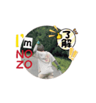 みんなの♡NOZO♡2024第三弾‼︎！（個別スタンプ：3）