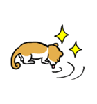 宇宙人ぽい子猫 うちゅみちゃんスタンプ（個別スタンプ：13）