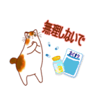 和風猫＜冬ですね＞（個別スタンプ：16）