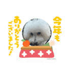 ハルタロウ季節のあいさつ（個別スタンプ：4）
