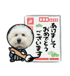 ハルタロウ季節のあいさつ（個別スタンプ：6）