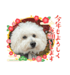 ハルタロウ季節のあいさつ（個別スタンプ：8）