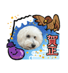 ハルタロウ季節のあいさつ（個別スタンプ：11）