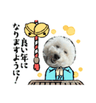 ハルタロウ季節のあいさつ（個別スタンプ：12）