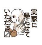 シーズー犬 『お出かけ専用』（個別スタンプ：30）