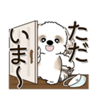 シーズー犬 『お出かけ専用』（個別スタンプ：39）