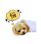 モモサクッチ（個別スタンプ：31）