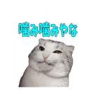 ririワールド第一弾（個別スタンプ：14）