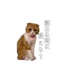 ririワールド第一弾（個別スタンプ：15）