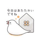 冬＊文鳥デイズのスタンプ（個別スタンプ：25）