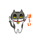 ねこの会話シャーミー編（日常生活⓷）（個別スタンプ：6）