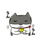 ねこの会話シャーミー編（日常生活⓷）（個別スタンプ：9）