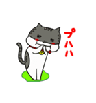 ねこの会話シャーミー編（日常生活⓷）（個別スタンプ：12）