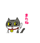 ねこの会話シャーミー編（日常生活⓷）（個別スタンプ：15）