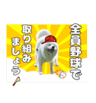 おじさんサモエド犬（個別スタンプ：11）