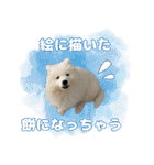 おじさんサモエド犬（個別スタンプ：20）