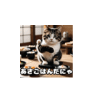 猫シェフクッキング2（個別スタンプ：15）