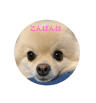 のわみるくvol.1（個別スタンプ：8）