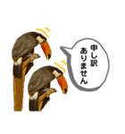 鳥が色々言うスタンプ(forビジネス)（個別スタンプ：3）