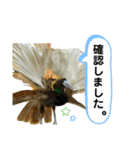 鳥が色々言うスタンプ(forビジネス)（個別スタンプ：6）