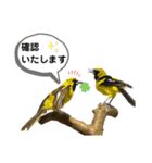 鳥が色々言うスタンプ(forビジネス)（個別スタンプ：7）