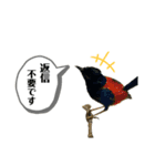 鳥が色々言うスタンプ(forビジネス)（個別スタンプ：8）