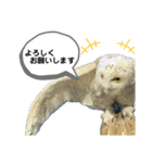 鳥が色々言うスタンプ(forビジネス)（個別スタンプ：10）