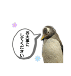 鳥が色々言うスタンプ(forビジネス)（個別スタンプ：11）