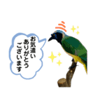鳥が色々言うスタンプ(forビジネス)（個別スタンプ：12）