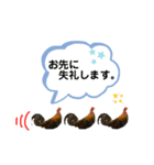 鳥が色々言うスタンプ(forビジネス)（個別スタンプ：13）